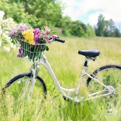 Bike auf einer Wiese mit Blumenkorb
